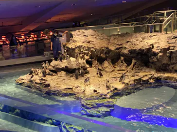 すみだ水族館に投稿された画像（2023/2/24）