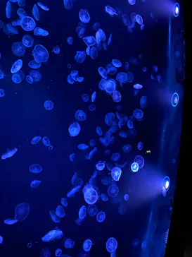 すみだ水族館に投稿された画像（2023/2/24）