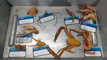 横浜・八景島シーパラダイスに投稿された画像（2023/2/24）