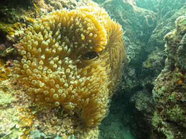 武藤潜水に投稿された画像（2023/2/24）