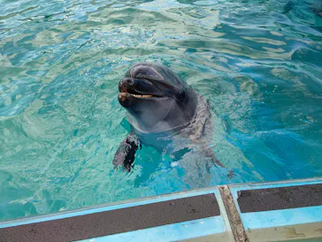 横浜・八景島シーパラダイスに投稿された画像（2023/2/24）
