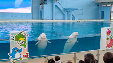 横浜・八景島シーパラダイスに投稿された画像（2023/2/24）