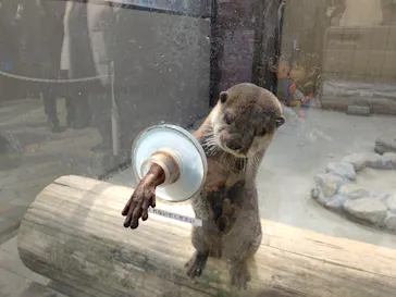 横浜・八景島シーパラダイスに投稿された画像（2023/2/24）