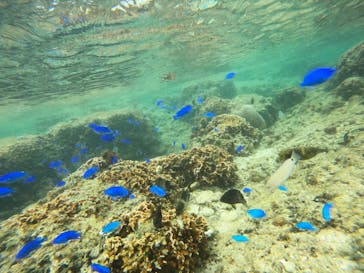 沖縄マリンサービス碧に投稿された画像（2023/2/24）