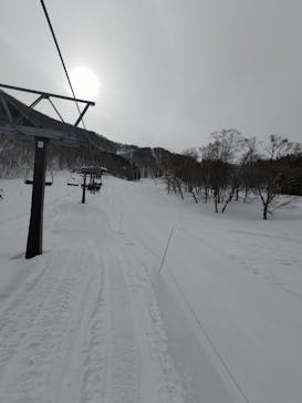 タングラムスキーサーカスに投稿された画像（2023/2/24）