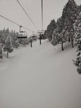 スキージャム勝山に投稿された画像（2023/2/24）