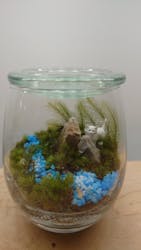 苔工房アイモスに投稿された画像（2023/2/24）