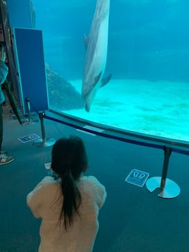 名古屋港水族館に投稿された画像（2023/2/24）