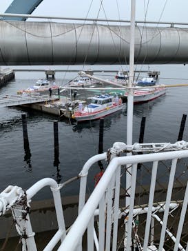 名古屋港水族館に投稿された画像（2023/2/24）