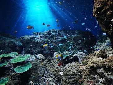 アクアワールド茨城県大洗水族館に投稿された画像（2023/2/24）
