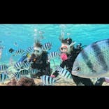 青の洞窟専門店　沖縄ダイビングショップ和に投稿された画像（2023/2/24）