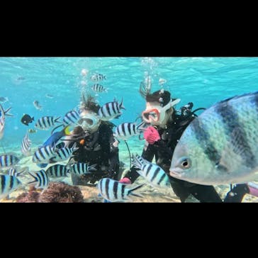 青の洞窟専門店　沖縄ダイビングショップ和に投稿された画像（2023/2/24）