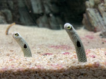 城崎マリンワールドに投稿された画像（2023/2/24）