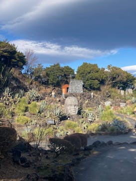 伊豆シャボテン動物公園に投稿された画像（2023/2/24）