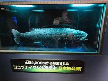 サンシャイン水族館に投稿された画像（2023/2/24）