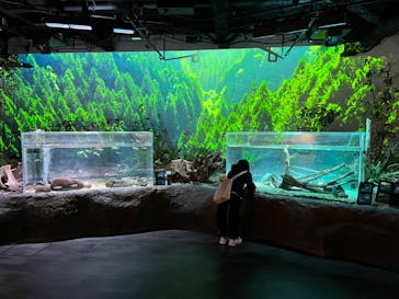 カワスイ 川崎⽔族館に投稿された画像（2023/2/24）