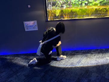 カワスイ 川崎⽔族館に投稿された画像（2023/2/24）