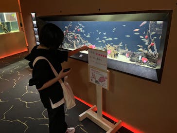カワスイ 川崎⽔族館に投稿された画像（2023/2/24）