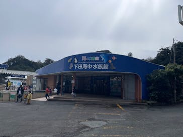 下田海中水族館に投稿された画像（2023/2/24）