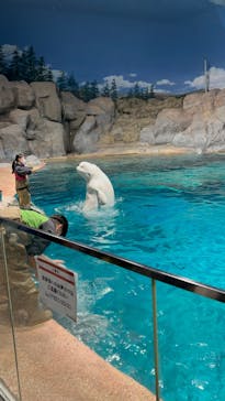 名古屋港水族館に投稿された画像（2023/2/24）