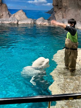 名古屋港水族館に投稿された画像（2023/2/24）