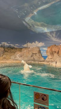 名古屋港水族館に投稿された画像（2023/2/24）