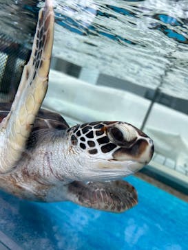 名古屋港水族館に投稿された画像（2023/2/24）