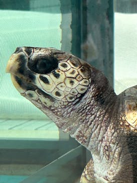 名古屋港水族館に投稿された画像（2023/2/24）