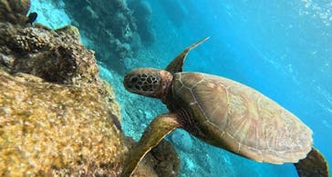 宮古島 ADVENTURE PiPi（ミヤコジマ アドベンチャー ピピ）に投稿された画像（2023/2/25）