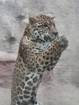 那須どうぶつ王国に投稿された画像（2023/2/25）