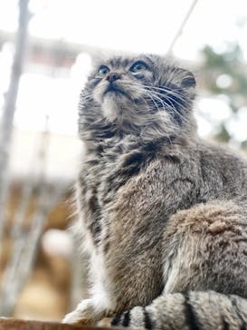 那須どうぶつ王国に投稿された画像（2023/2/25）