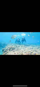 武藤潜水に投稿された画像（2023/2/25）