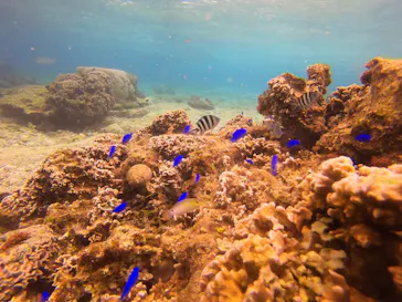 武藤潜水に投稿された画像（2023/2/25）