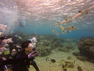 武藤潜水に投稿された画像（2023/2/25）