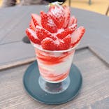 いばらきフラワーパークに投稿された画像（2023/2/25）