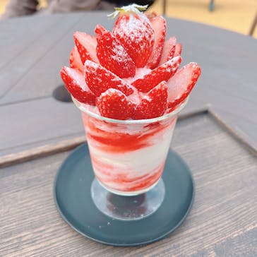 いばらきフラワーパークに投稿された画像（2023/2/25）