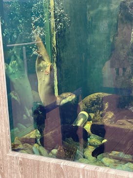 サンシャイン水族館に投稿された画像（2023/2/25）