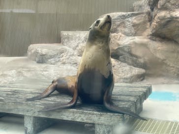 サンシャイン水族館に投稿された画像（2023/2/25）
