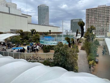 サンシャイン水族館に投稿された画像（2023/2/25）