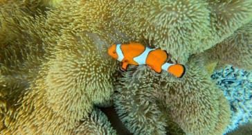 宮古島 ADVENTURE PiPi（ミヤコジマ アドベンチャー ピピ）に投稿された画像（2023/2/25）