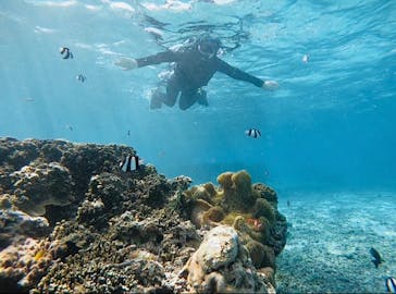 宮古島 ADVENTURE PiPi（ミヤコジマ アドベンチャー ピピ）に投稿された画像（2023/2/25）