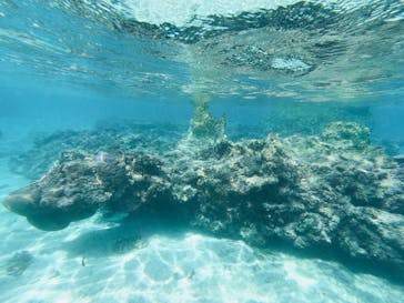 宮古島 ADVENTURE PiPi（ミヤコジマ アドベンチャー ピピ）に投稿された画像（2023/2/25）