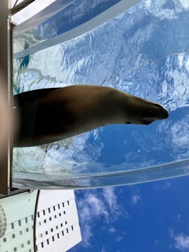 サンシャイン水族館に投稿された画像（2023/2/25）
