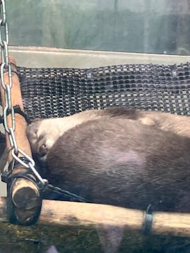 サンシャイン水族館に投稿された画像（2023/2/25）