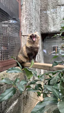 天王寺動物園に投稿された画像（2023/2/25）