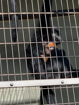 天王寺動物園に投稿された画像（2023/2/25）