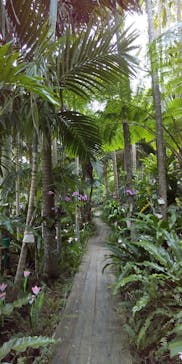 美らヤシパークオキナワ・東南植物楽園に投稿された画像（2023/2/25）