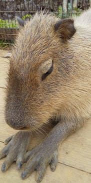 美らヤシパークオキナワ・東南植物楽園に投稿された画像（2023/2/25）