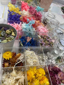 ずこうしつ〜sugamo〜に投稿された画像（2023/2/25）