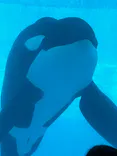 名古屋港水族館に投稿された画像（2023/2/25）